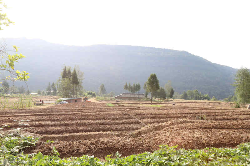 1666331006140763.jpg 微信圖片_20221021133941_副本.jpg